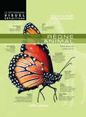 Dictionnaire Visuel définitions (Le) : règne animal